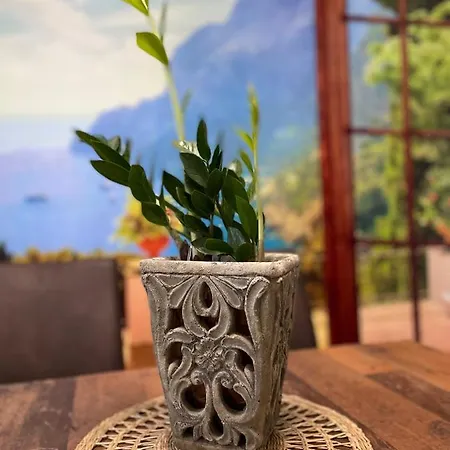 Moderne 3 Raum Altbau Etw Bis 4 Gaeste, Naehe Staatstheater, Parkplatz, Netflix, Vollausstattung